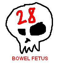BOWEL FETUS - 28 Tracks of Bullshit Promo 3
