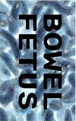 BOWEL FETUS - Bowel Fetus / Viscera cover 