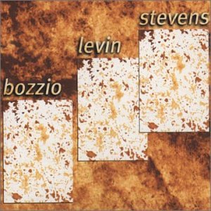 BOZZIO LEVIN STEVENS - Situation Dangerous cover 