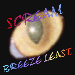BREEZE LEAST - Scream cover 