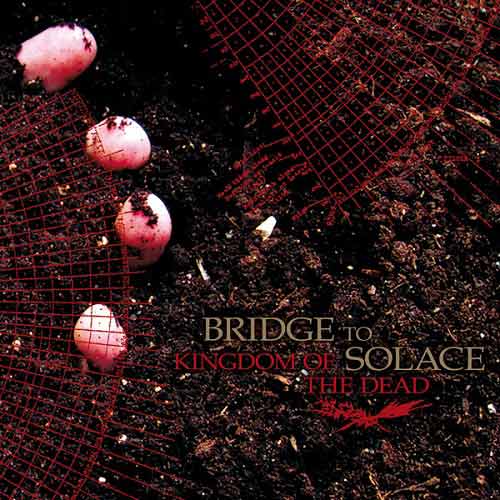 BRIDGE TO SOLACE - Kingdom of the Dead cover 