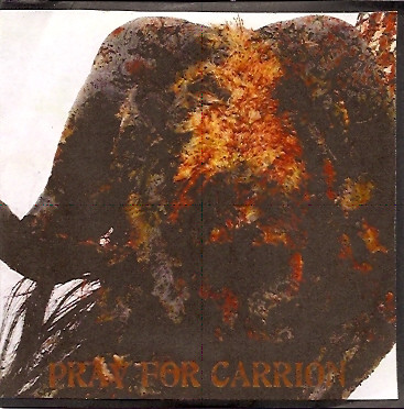 BRING ME THE HEAD OF ORION - Pray For Carrion cover 