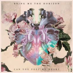 BRING ME THE HORIZON - Can You Feel My Heart cover 