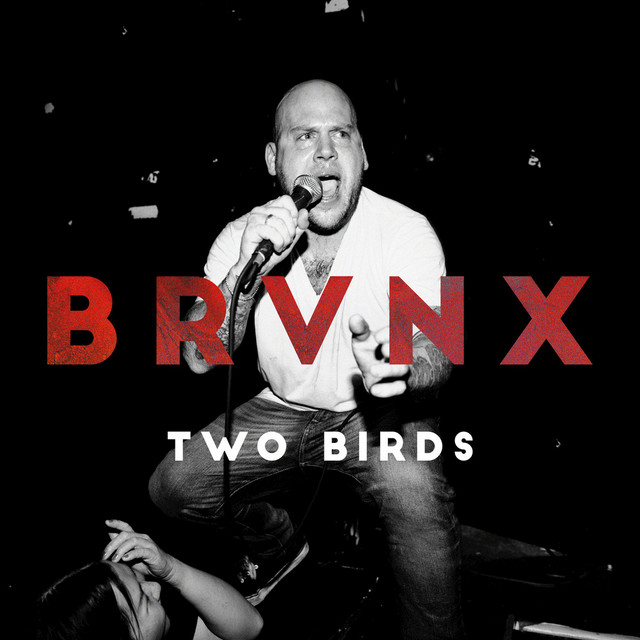 THE BRONX - Two Birds cover 