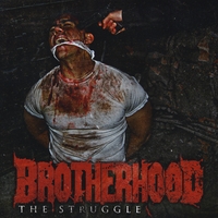 BROTHERHOOD - The Struggle cover 