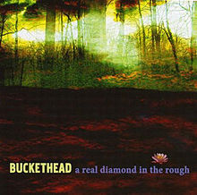 BUCKETHEAD - A Real Diamond in the Rough cover 