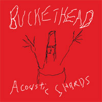 BUCKETHEAD - Acoustic Shards cover 