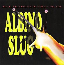 BUCKETHEAD - Albino Slug cover 