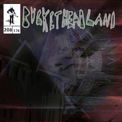 BUCKETHEAD - Pike 208 - The Wishing Brook cover 