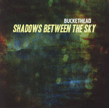 BUCKETHEAD - Shadows Between the Sky cover 