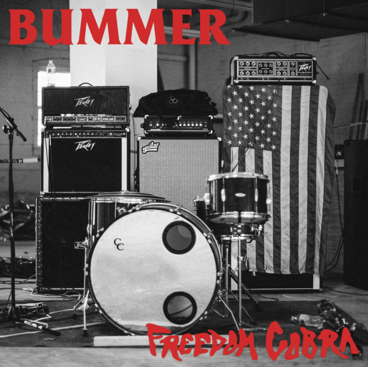 BUMMER - Freedom Cobra cover 