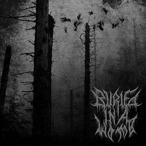 BURIED IN A WOMB - Prenatal Suicide cover 