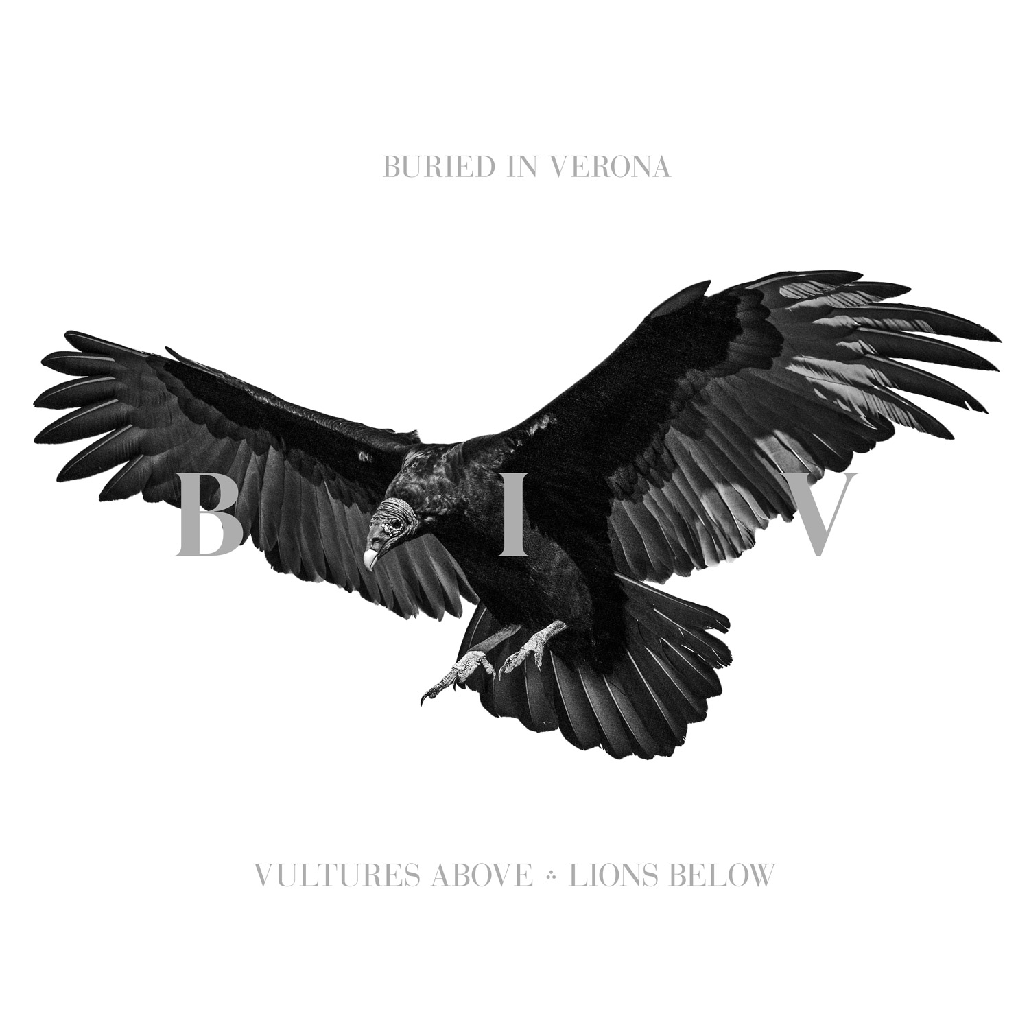 BURIED IN VERONA - Vultures Above, Lions Below cover 