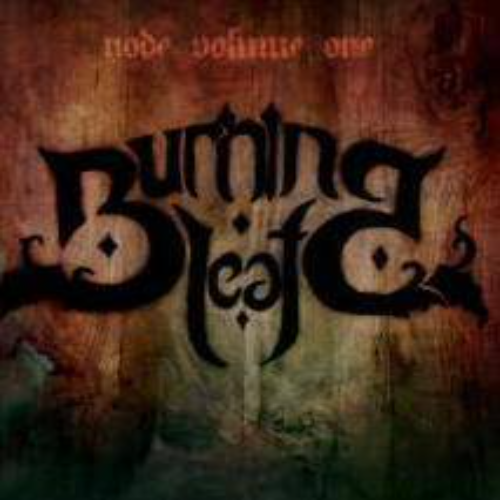 BURNING LEAF - Node Volume 1 cover 