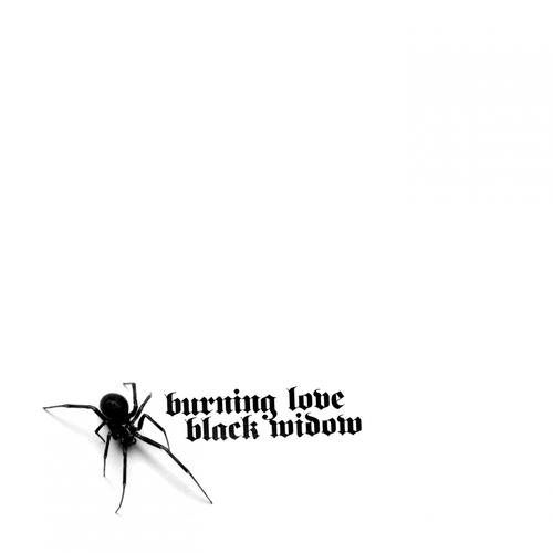 BURNING LOVE - Black Widow cover 