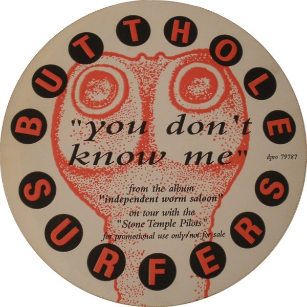 BUTTHOLE SURFERS - You Don't Know Me cover 
