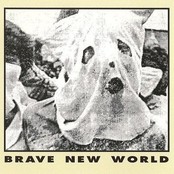 CABLE REGIME - Brave New World cover 