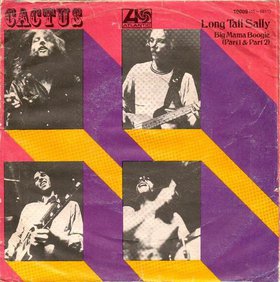 CACTUS - Long Tall Sally / Big Mama Boogie (parts 1 & 2) cover 