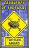 CADAVERES DE TORTUGAS - Turtles Ahead cover 