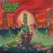 CANNABIS CORPSE - Tube of the Resinated cover 