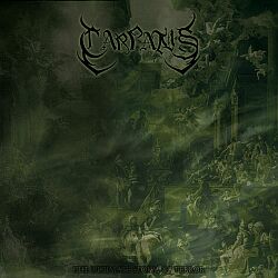 CARPATUS - The Ultimate Storm of Terror cover 