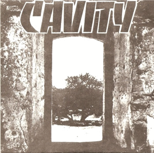 CAVITY - Cavity cover 