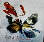 CHEMISTRY ROOM - Butterfly Effect cover 