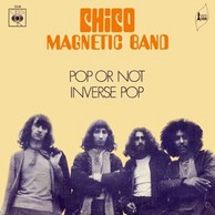CHICO MAGNETIC BAND - Pop or Not cover 