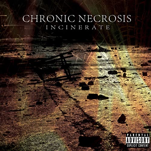 CHRONIC NECROSIS - Chronic Necrosis cover 