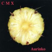 CMX - Aurinko cover 