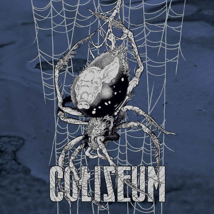 COLISEUM - True Quiet / Last Wave cover 