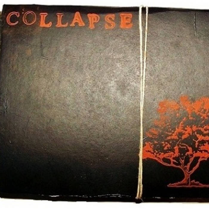 COLLAPSE (FL) - Visualize cover 