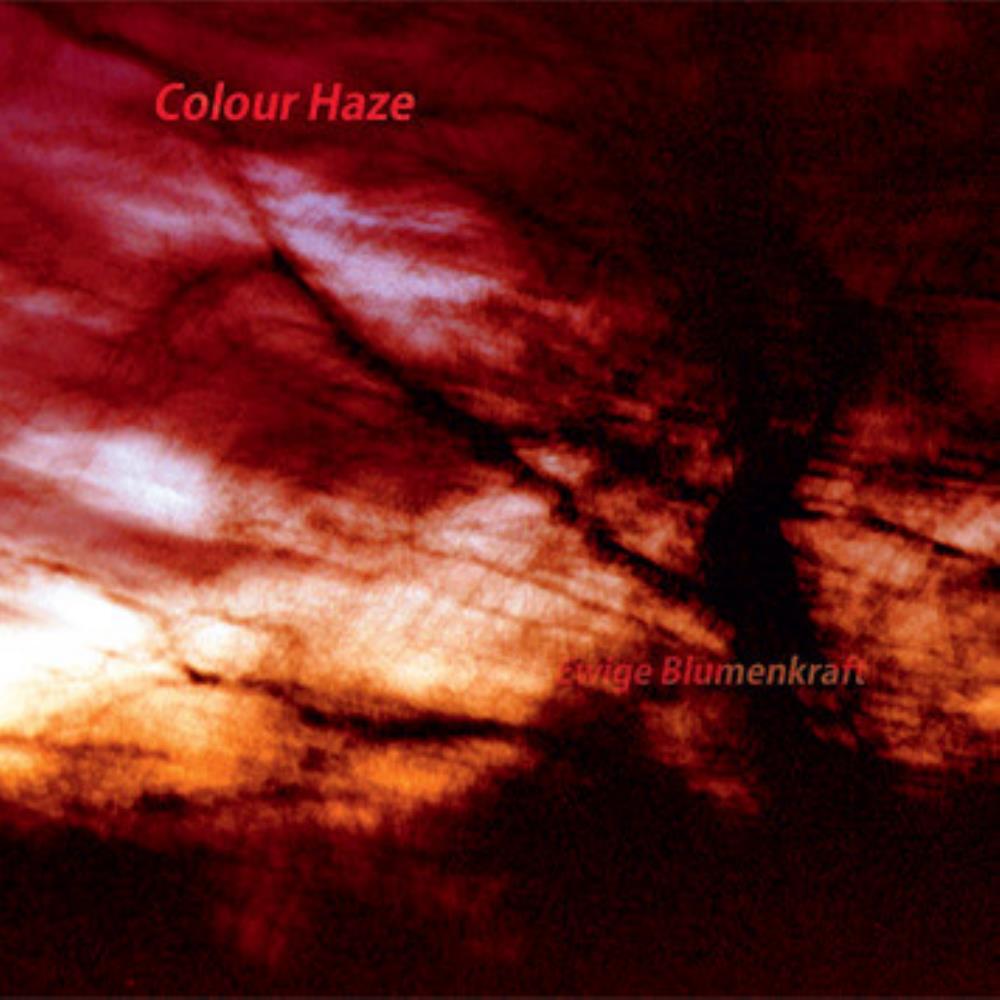 COLOUR HAZE - Ewige Blumenkraft cover 