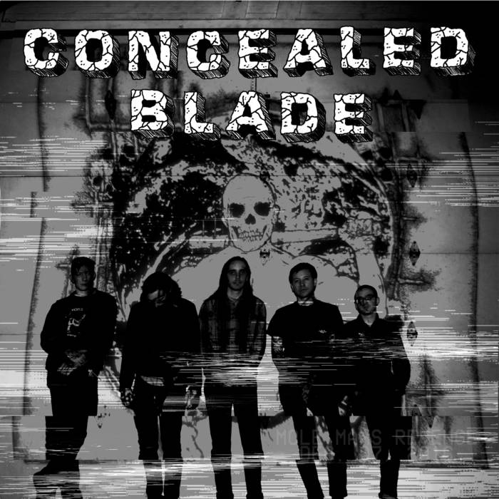 CONCEALED BLADE - Concealed Blade cover 