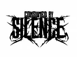 CONSUMED BY SILENCE - Summer 2010 Demo cover 