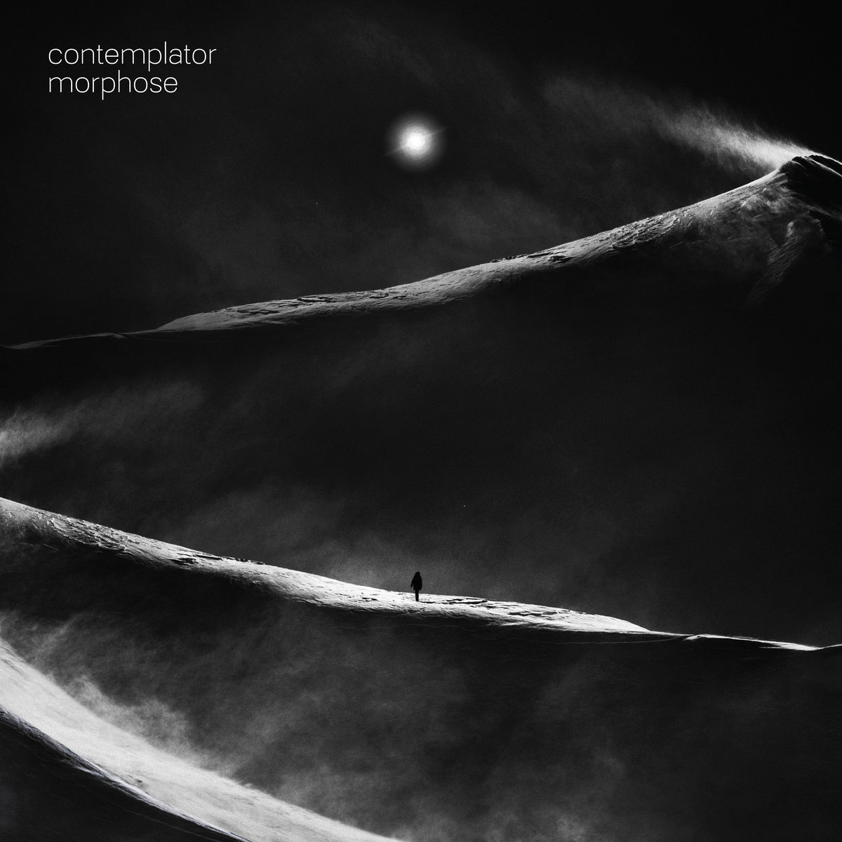 CONTEMPLATOR - Morphose cover 