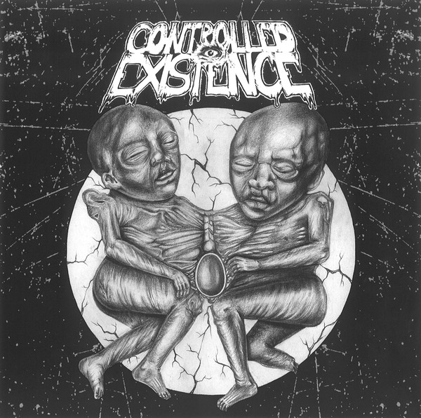 CONTROLLED EXISTENCE - Controlled Existence / Desperate Pigs cover 