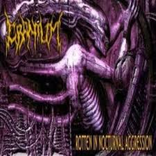 CRANIUM - Rotten in Nocturnal Aggression cover 