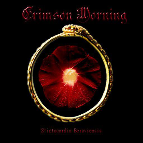 CRIMSON MORNING - Stictocardia Beraviensis cover 