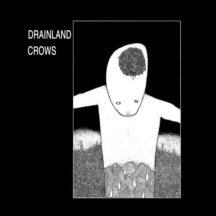 CROWS - Drainland / Crows cover 