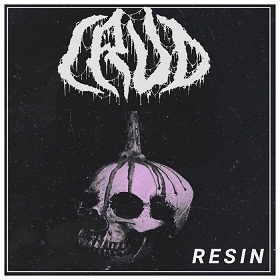 CRUD - Resin cover 