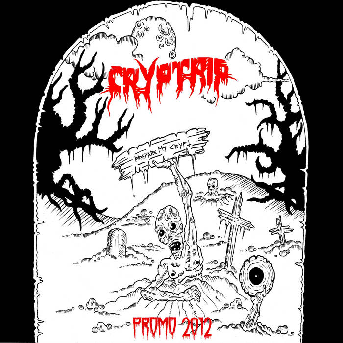 CRYPTRIP - Promo 2012 cover 