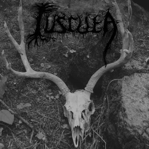 CUSCUTA - A Receding Wild cover 