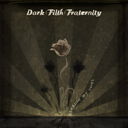 DARK FILTH FRATERNITY - Cleanse My Soul cover 
