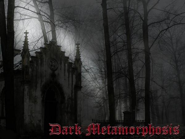 DARK METAMORPHOSIS - Alucard on Our Side cover 