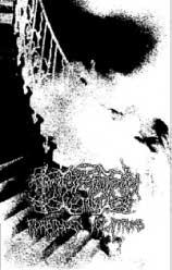 DARKNESS ENSHROUDED THE MIST - Forbidden Vocations cover 