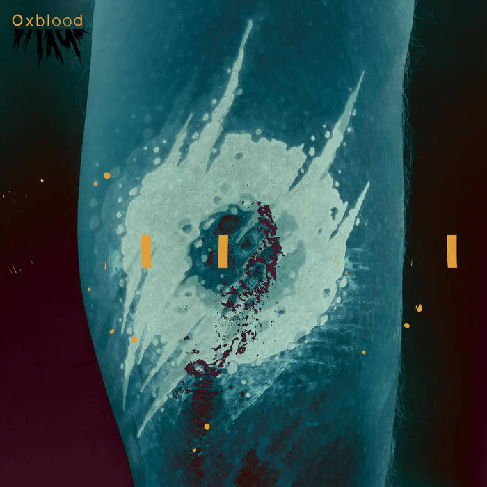DARQO - Oxblood cover 