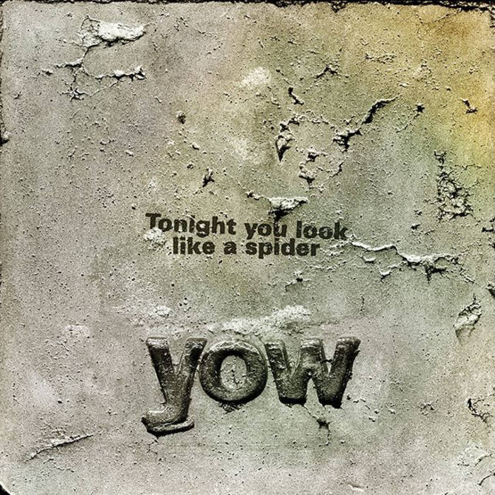 DAVID YOW - Tonight You Look Like A Spider cover 