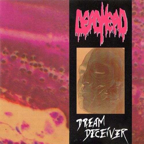 DEAD HEAD - Dream Deceiver cover 