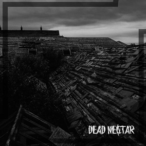DEAD NECTAR - Dead Nectar cover 